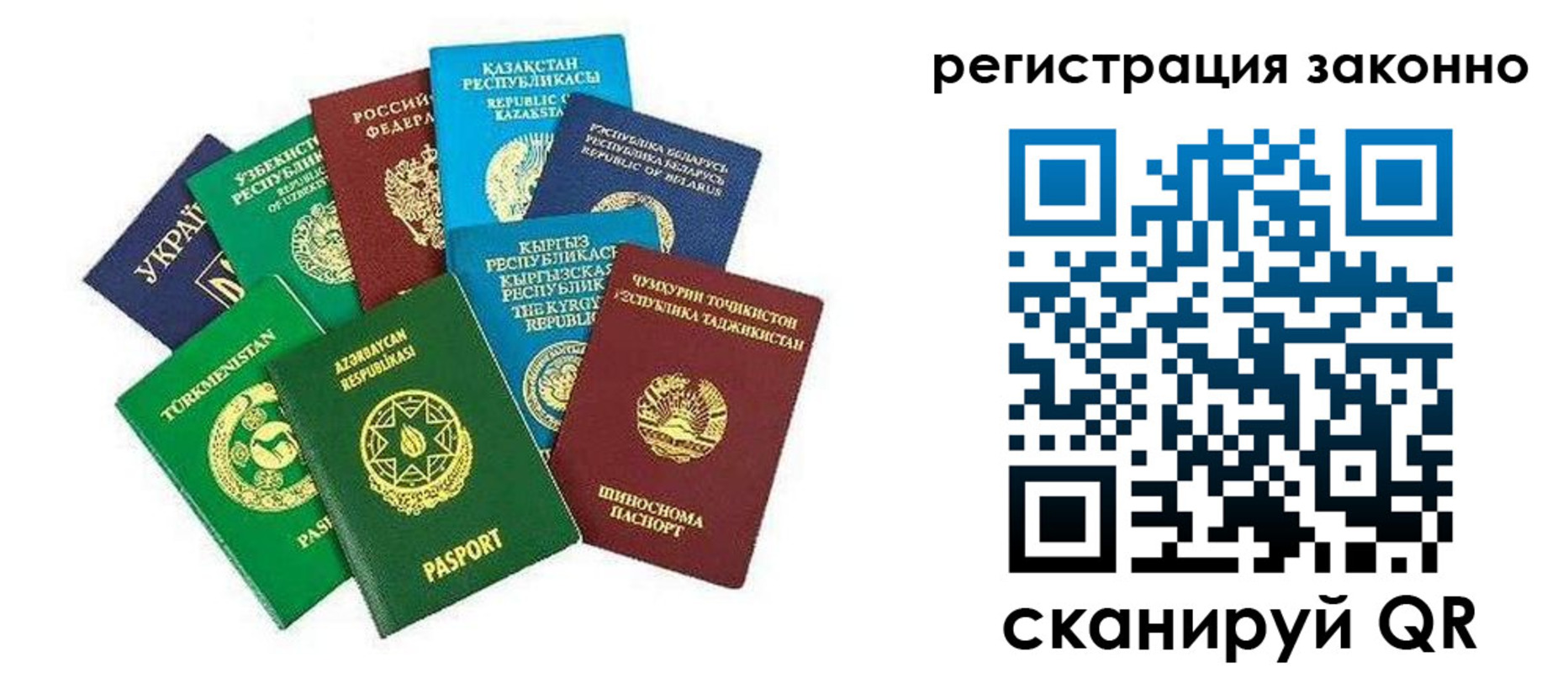 временная регистрация поиск в Камчатском крае